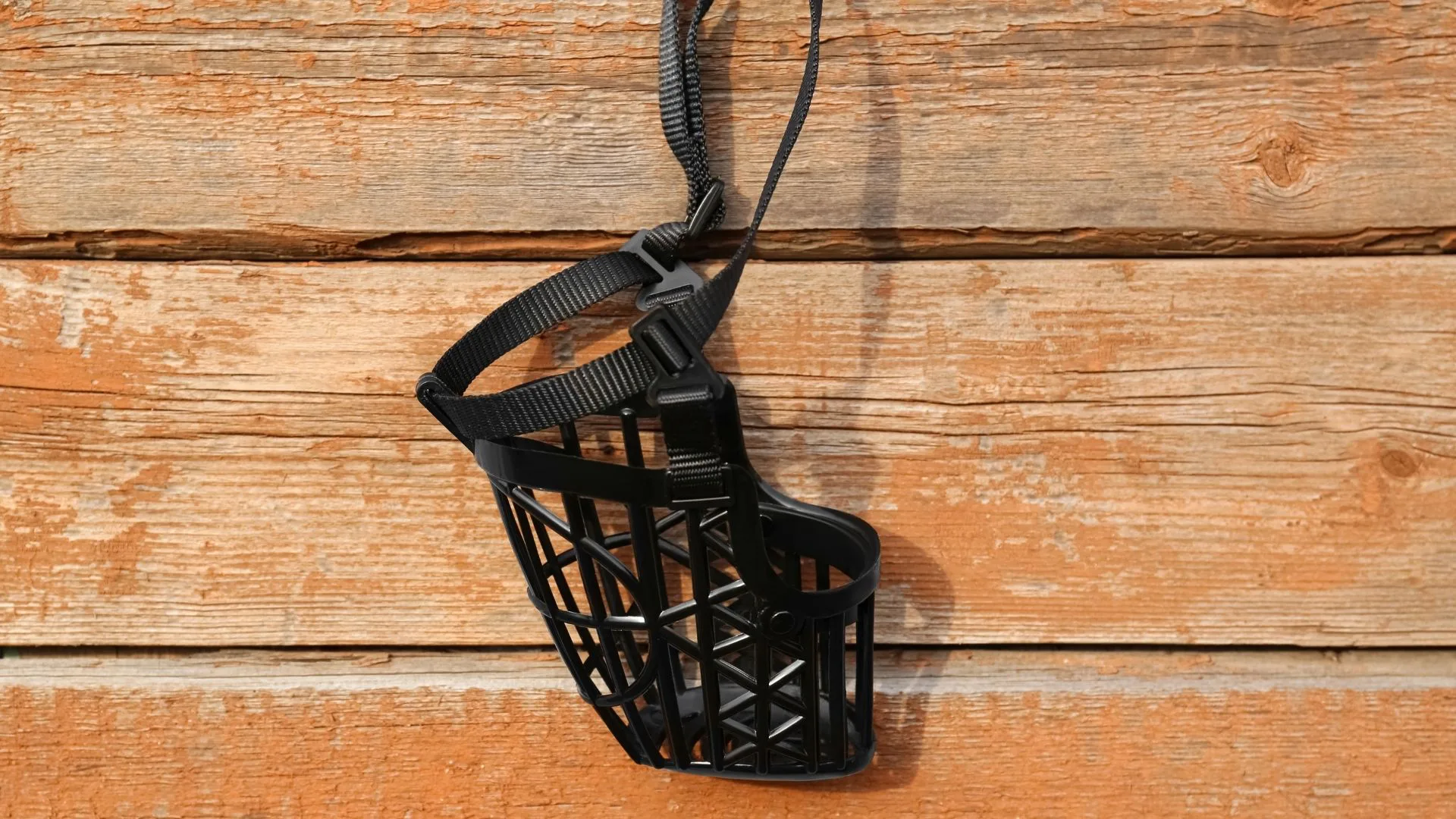 Discover the Best Muzzle in 2026