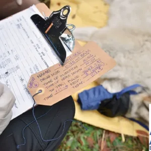 ACES Image For Checkout Page.webp