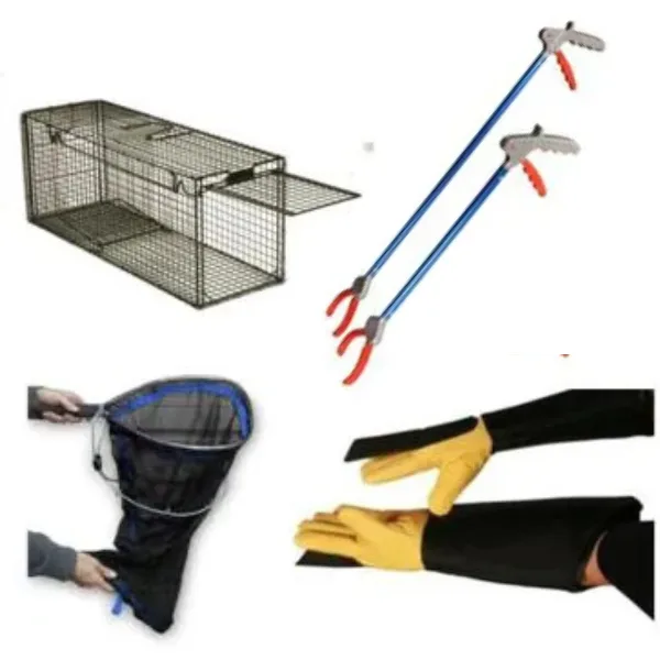 ACES Product Images.webp