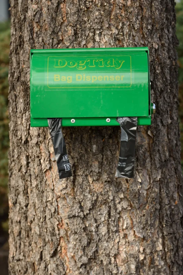 Dog Tidy Dispenser On Tree Scaled 1.webp