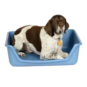 Fabri Form Pet Beds.webp