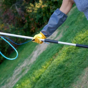 Leash Pole Hum 1 Scaled 1.webp