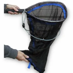 Little Dandy Net.webp