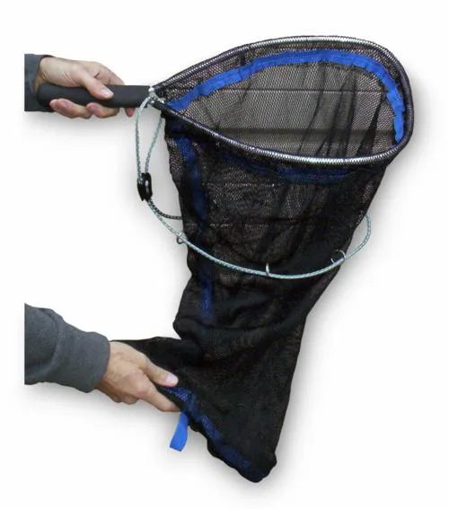 Little Dandy Net.webp