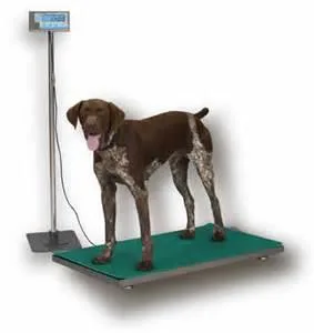 PS500 Optional Floor Stand.webp