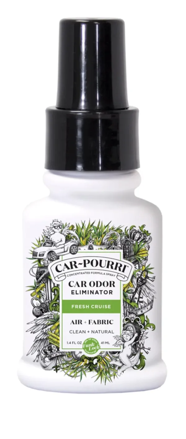 Pourri Car Odor.webp
