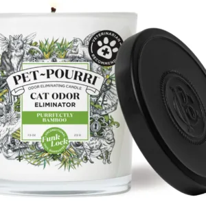Pourri Cat Candle.webp