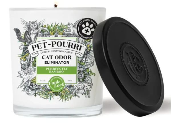 Pourri Cat Candle.webp