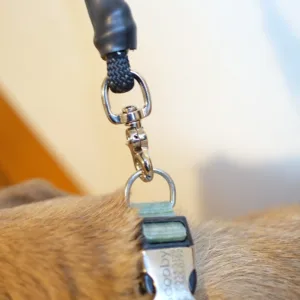 Rescue Tech Snap Lock Scaled 1.webp