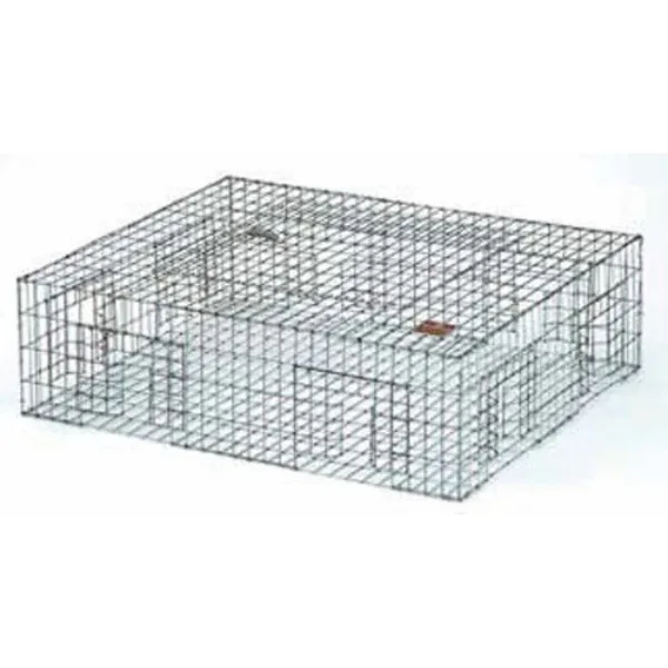 SafeGuard Pigeon Trap.webp