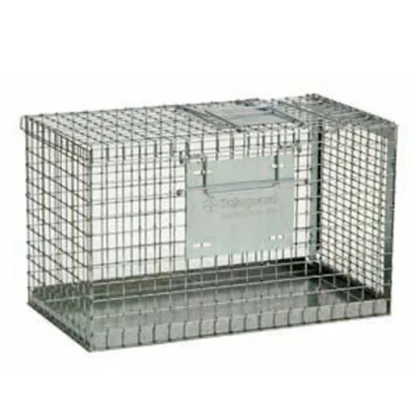 Safeguard Carrier 1.webp