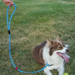 Shelter Tek With Shya Scaled 1.webp