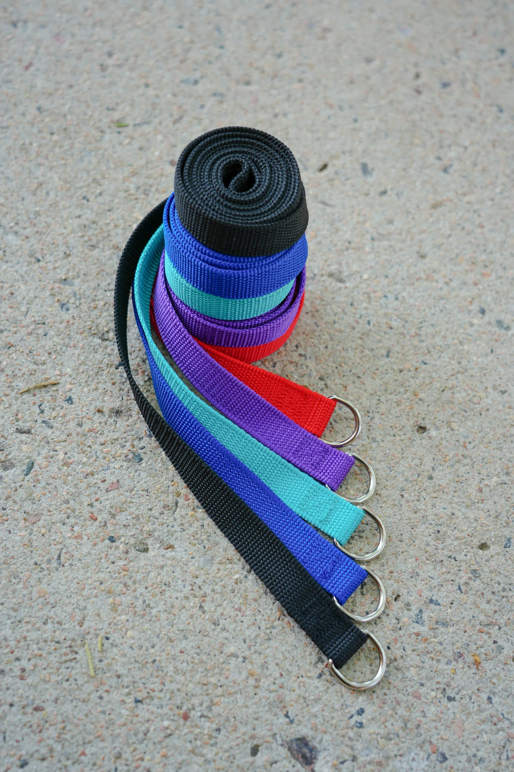 Slip Leads With Teal Scaled 1.webp