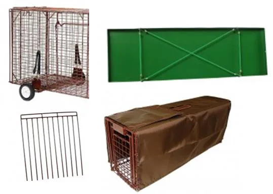 Trucatch Accessories.webp