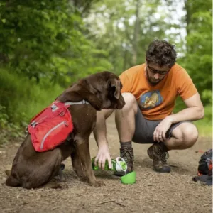 Water Bottle With Dog.webp