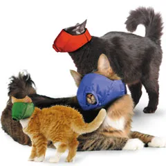 Cat Muzzle.webp