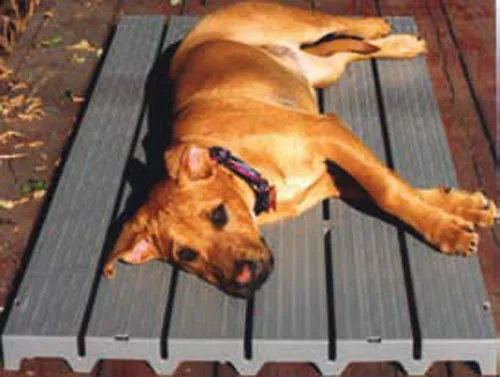Kennel Deck.webp