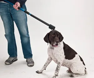 Poles Graspers Thumb.webp