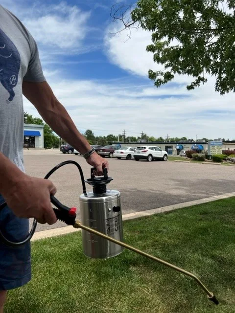 Pump Up Sprayer Outside.webp