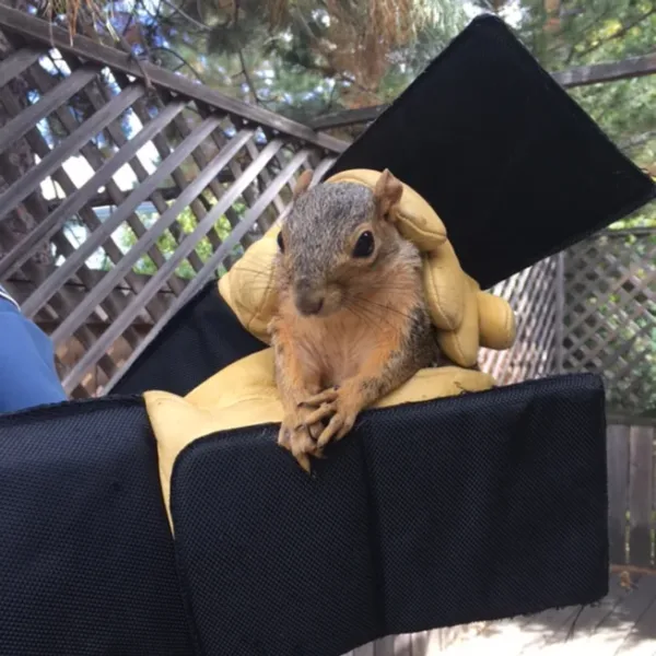 20161003 044324 Ct4CNLSWcAATzG .webp