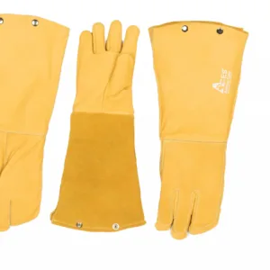 ACES 43 Scaled 1.webp