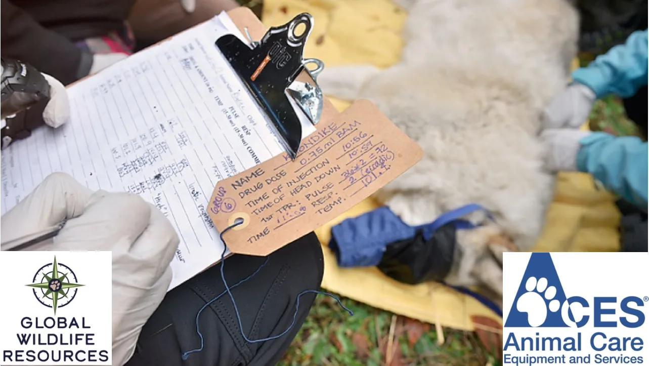 ACES Image For Checkout Page.webp