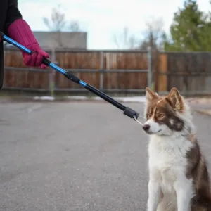 ADR Pole With Bite Protection Vegan Gloves.webp