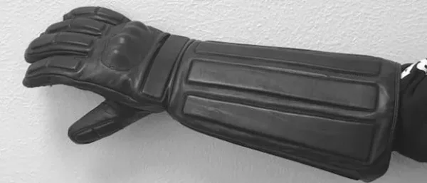 animal handling gloves- ACES