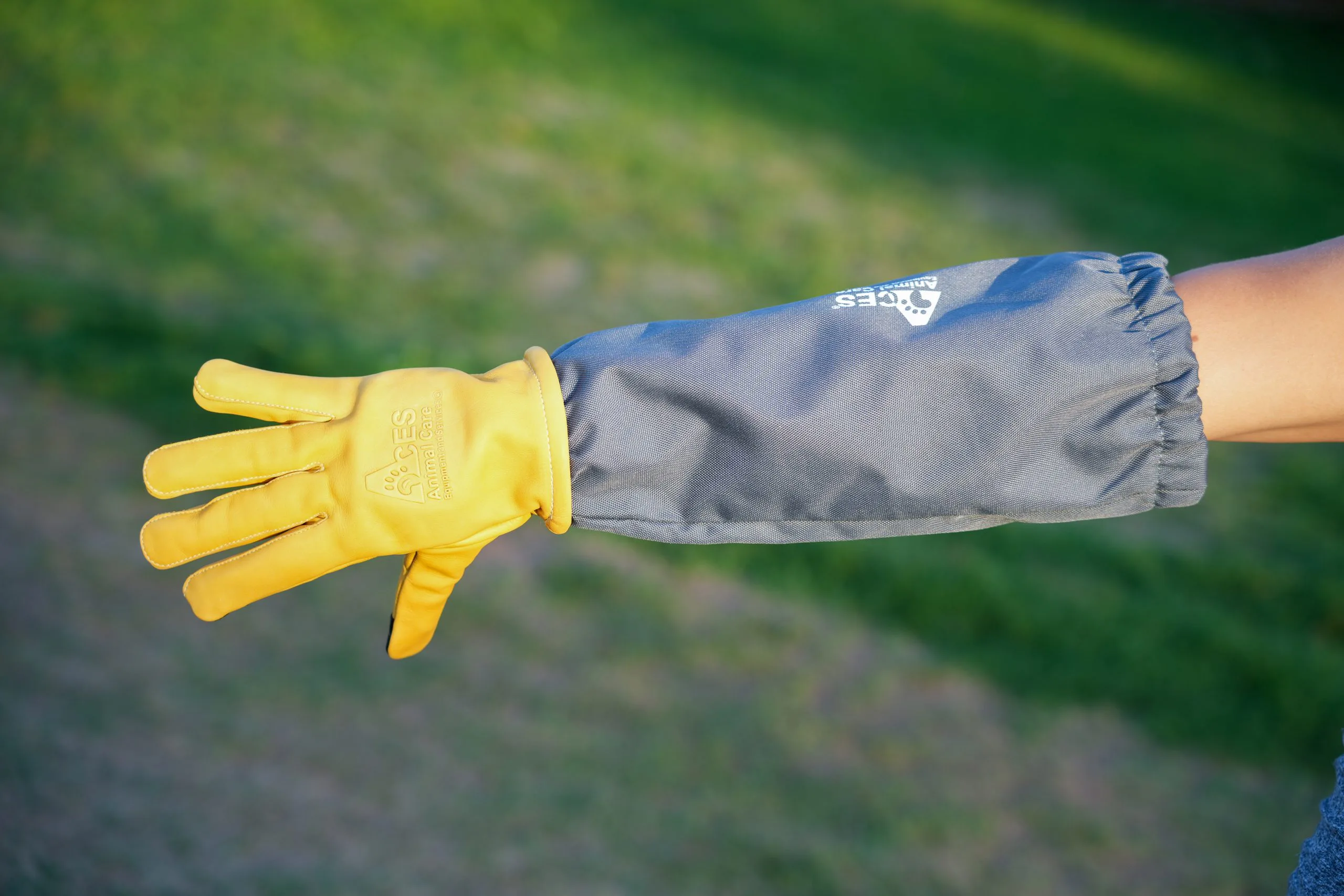 Critter Glove Hand Up Scaled 1.webp