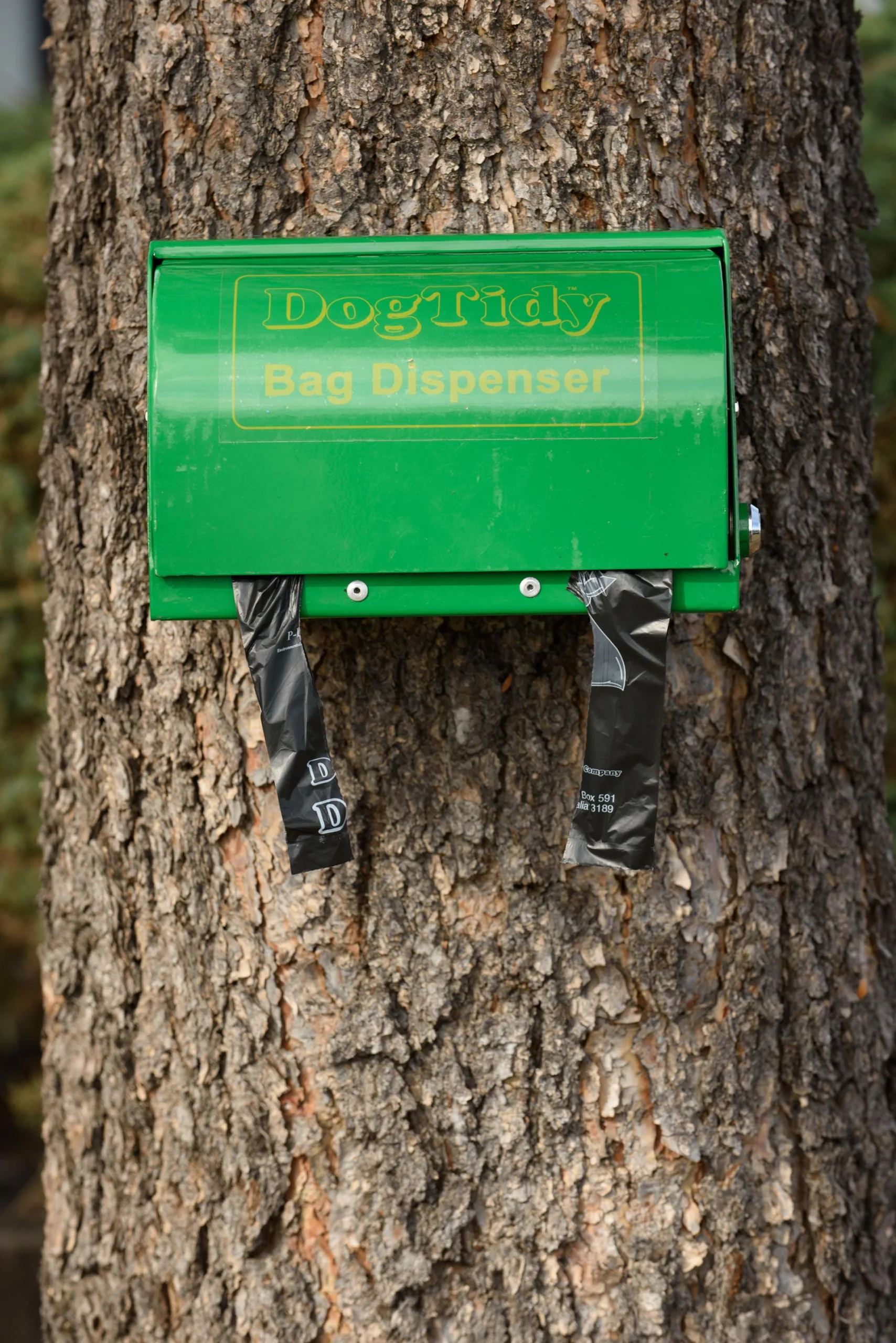 Dog Tidy Dispenser On Tree Scaled 1.webp