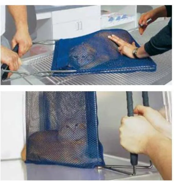 EZ20nabberswith Cat.webp