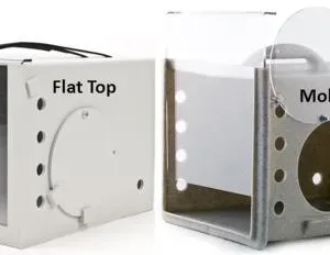 Feral Dens Together.webp