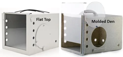 Feral Dens Together.webp