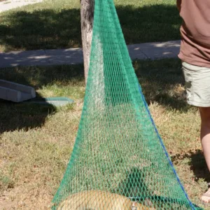 HulaPicBest Scaled 1.webp