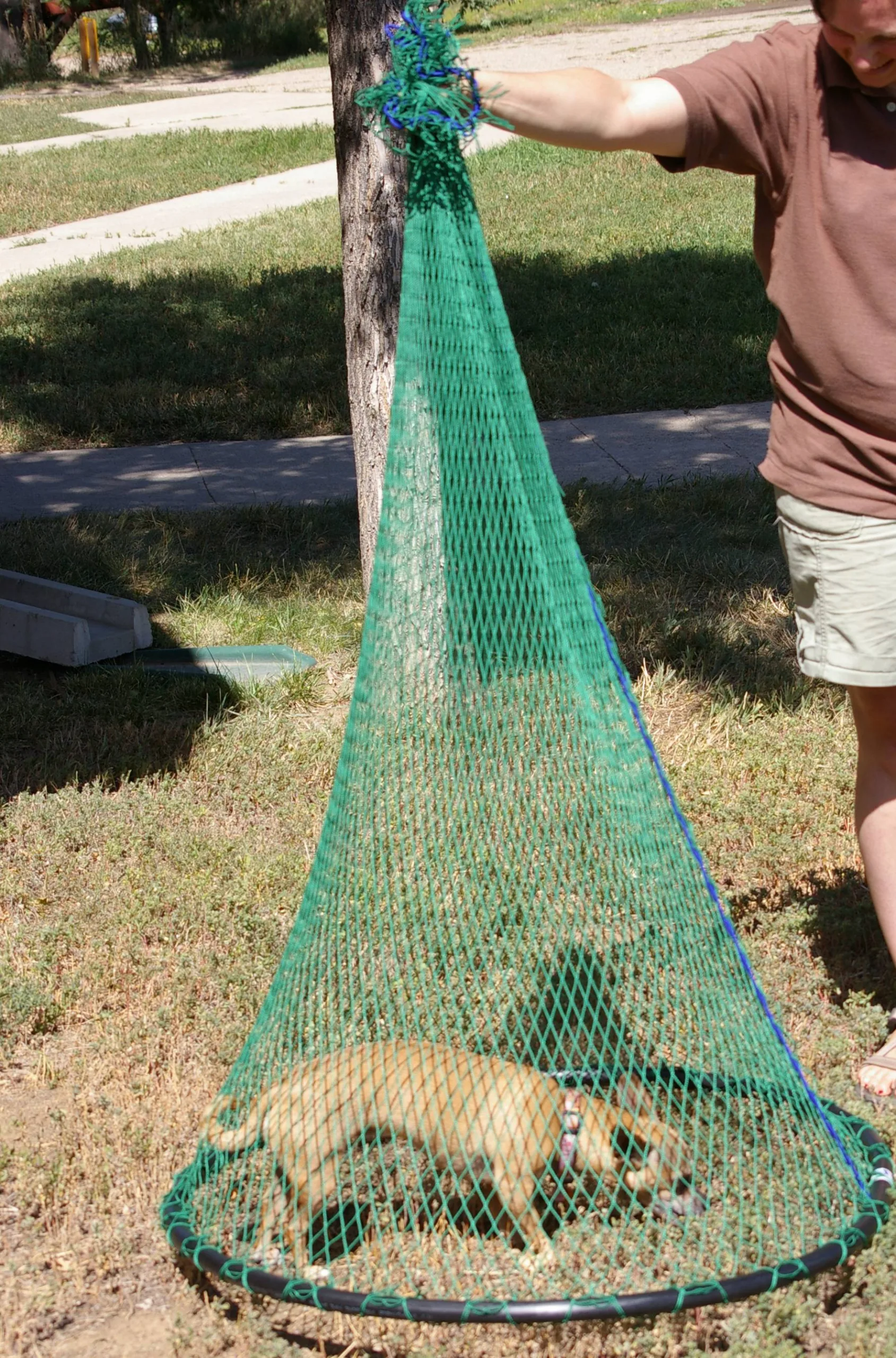 HulaPicBest Scaled 1.webp