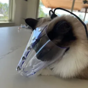 Jafco Cat Muzzle 1.webp