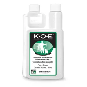 KOE Eliminator.webp