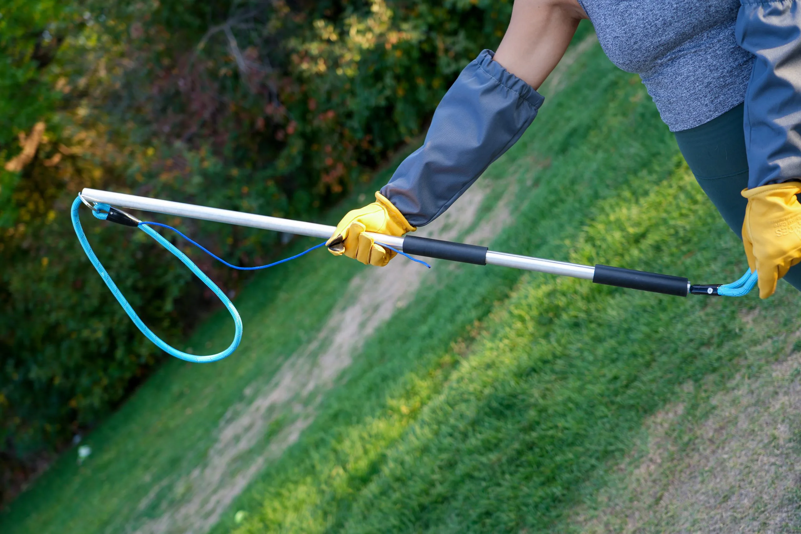 Leash Pole Hum 1 Scaled 1.webp