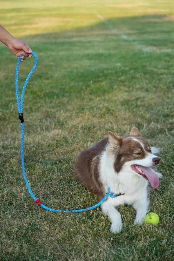 Shelter Tek With Shya Scaled 1.webp