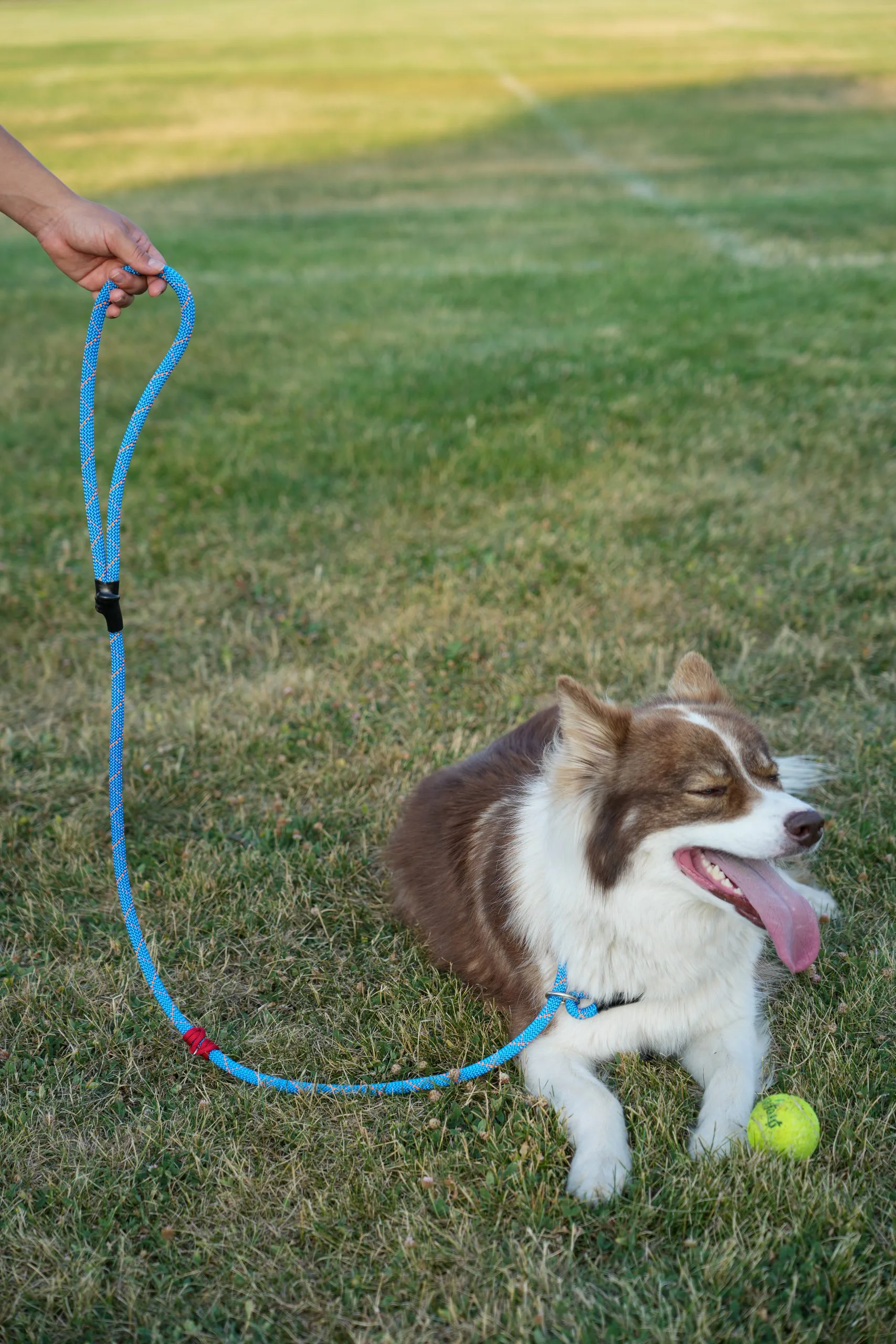 Shelter Tek With Shya Scaled 1.webp