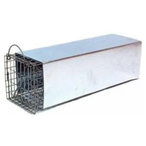 Skunk Trap Enclosed 1.webp