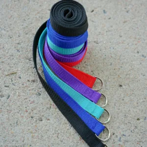 Slip Leads With Teal Scaled 1.webp