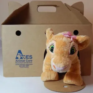 Cat Castle With Cat In It.webp