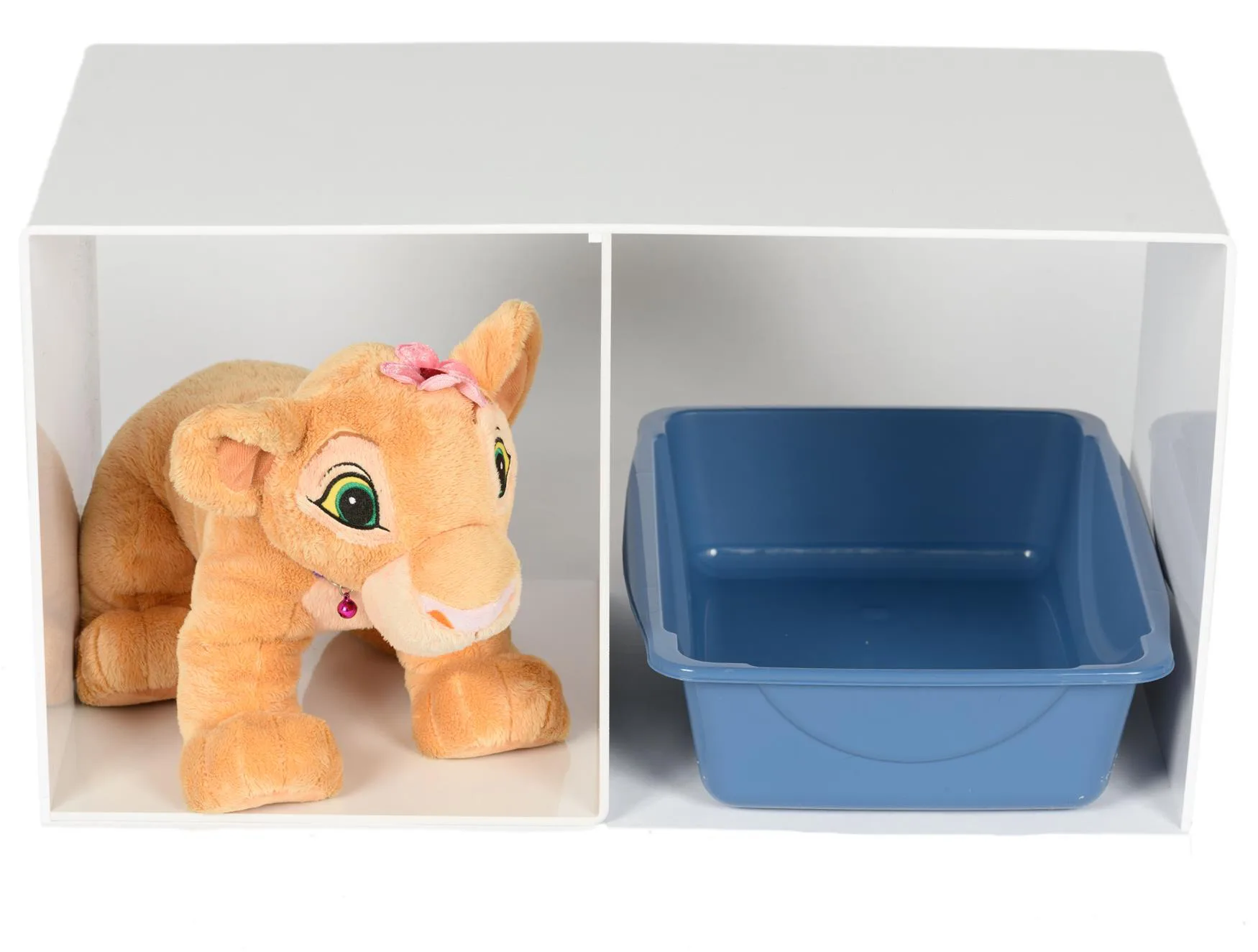 Cat Resting Bench.webp