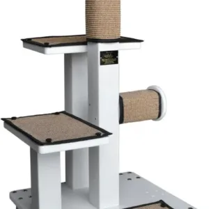 Crijo Adopt Me Solo.webp