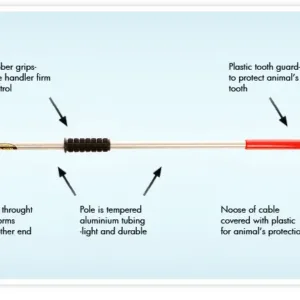 Ketch All How It Works.webp