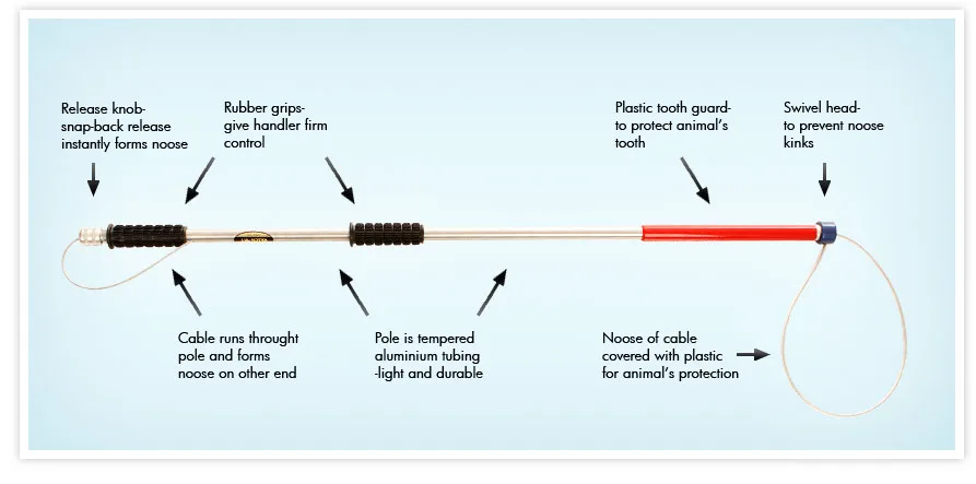 Ketch All How It Works.webp