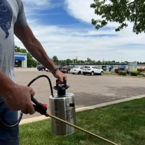 Pump Up Sprayer Outside.webp