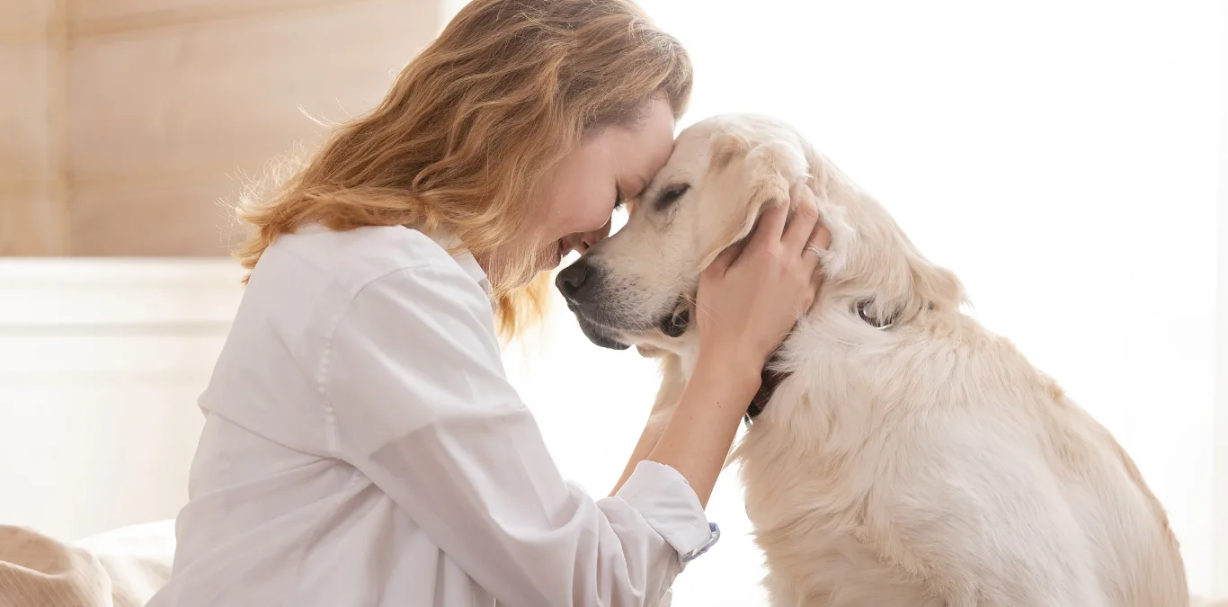 Honoring Life: A Compassionate Guide to Animal Handling and Aftercare